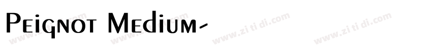 Peignot Medium字体转换